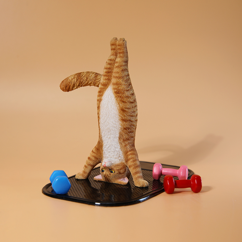 1/6 Scale Mini Simulated Fitne - Yoga In Fitness First ulasan dan harga