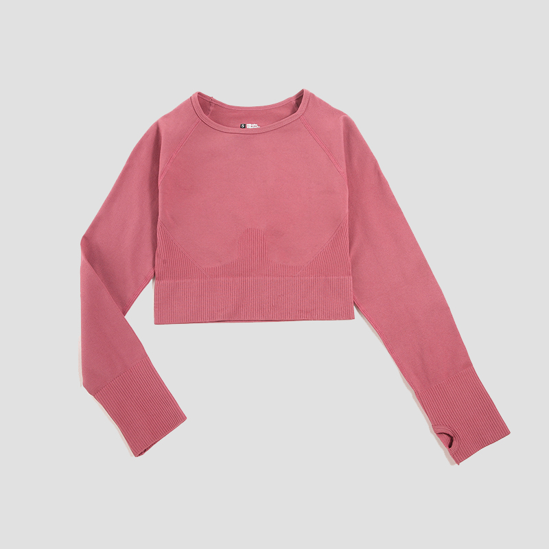Women's Shirt Seamless Crop To - Yoga Fitness Hk ulasan dan harga